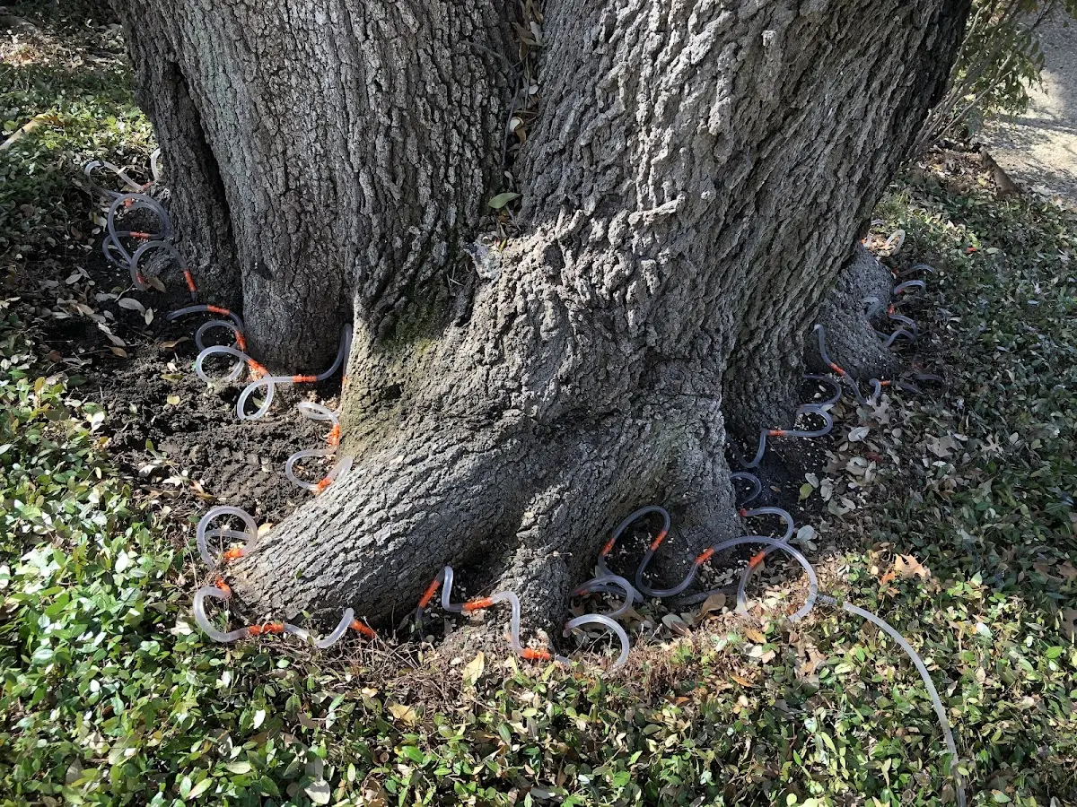 Detailed Shrub and Hedge Trimming job site in Depew